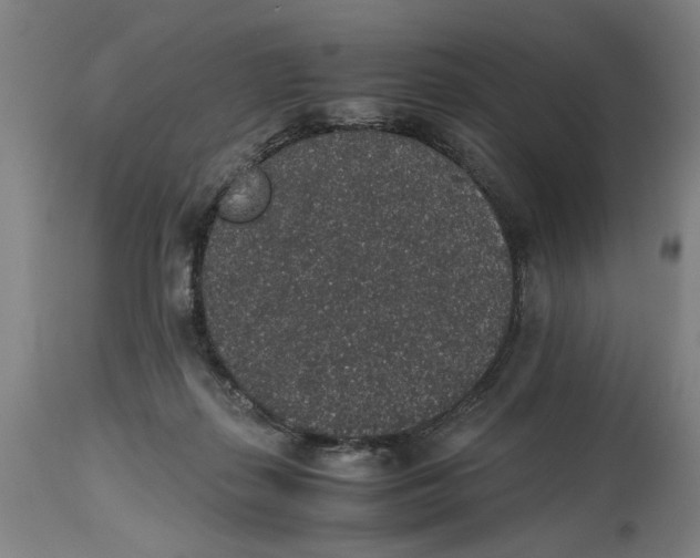 X0000114660267200911101350