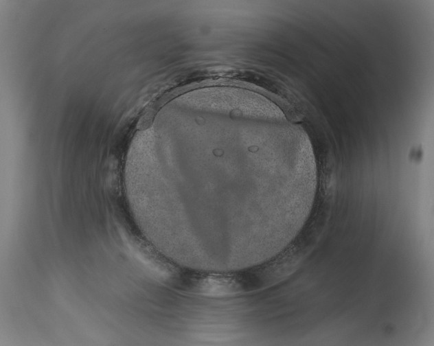 X0000114660270200911101350