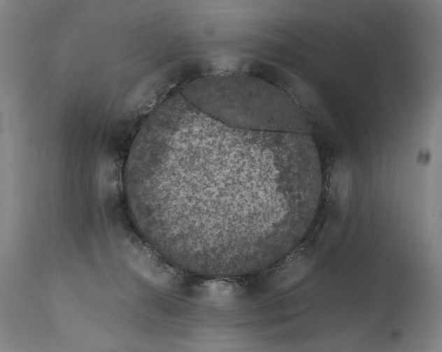 X0000114660272200911101350