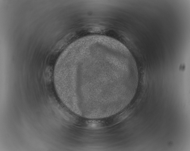 X0000114660273200911101350