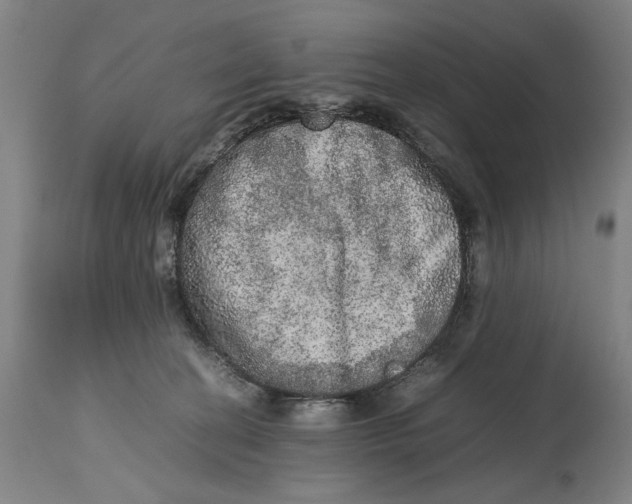 X0000114660274200911101350