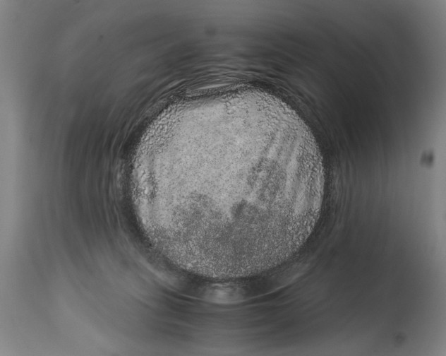 X0000114660275200911101350