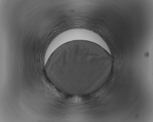 X0000114660276200911101350