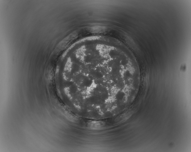 X0000114660277200911101350