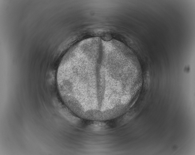 X0000114660278200911101350