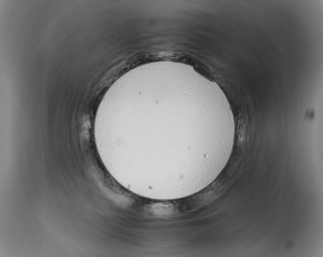 X0000114660279200911101350