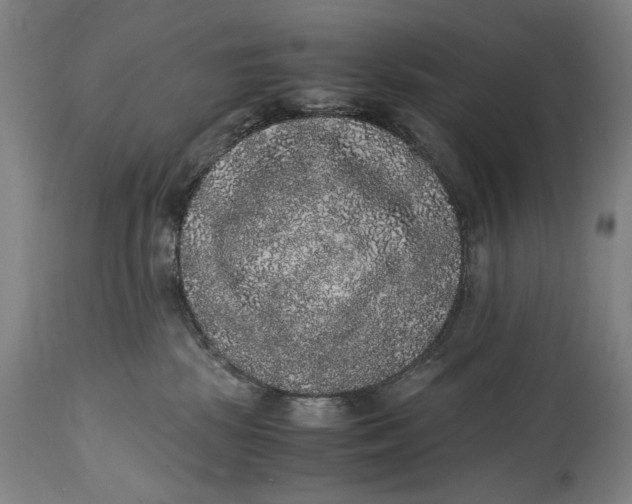 X0000114660281200911101350