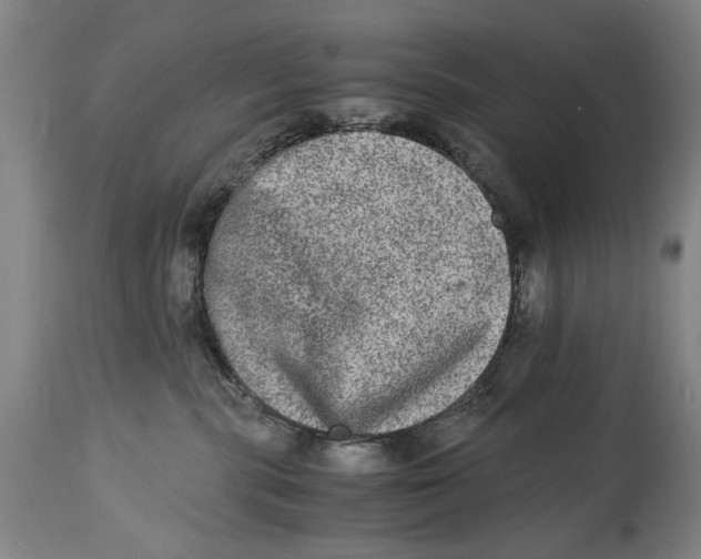 X0000114660283200911101350