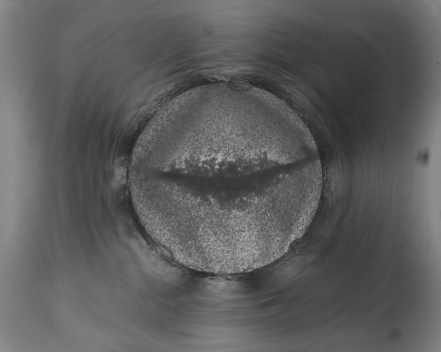 X0000114660284200911101350