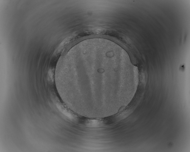 X0000114660286200911101350