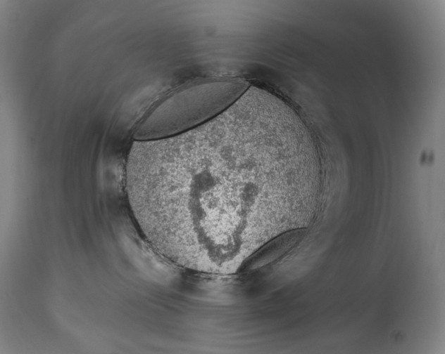 X0000114660288200911101350