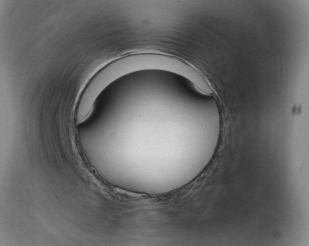 X0000114660289200911101349