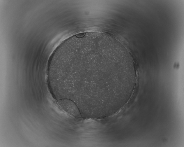 X0000114660290200911101349