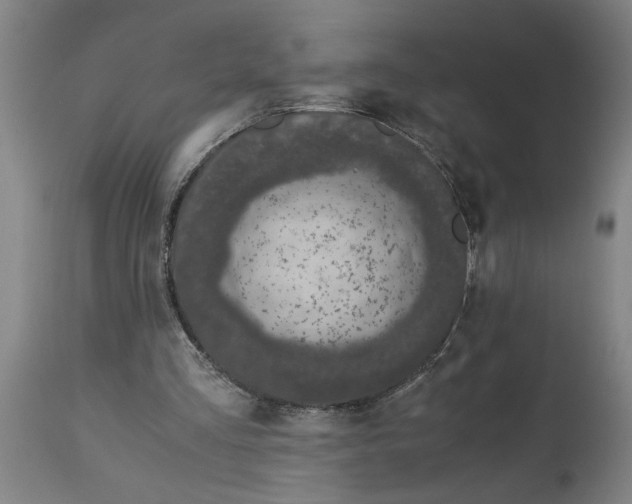 X0000114660293200911101349