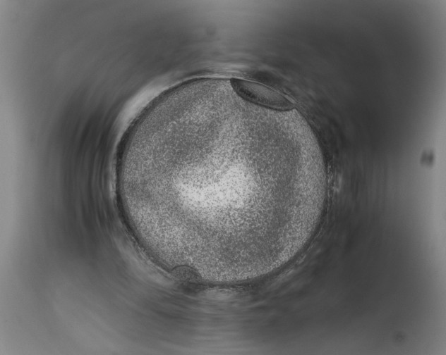 X0000114660294200911101349