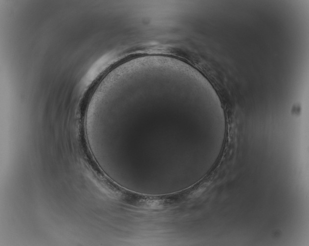 X0000114660295200911101349