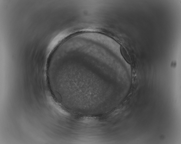 X0000114660296200911101349