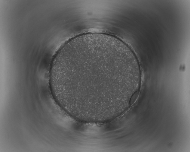 X0000114660297200911101349