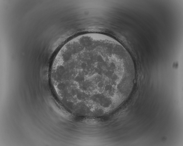 X0000114660299200911101349