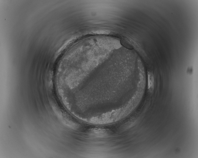 X0000114660300200911101349