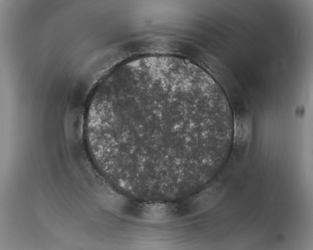 X0000114660301200911101349