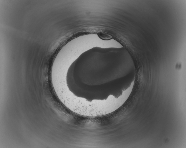 X0000114660303200911101349