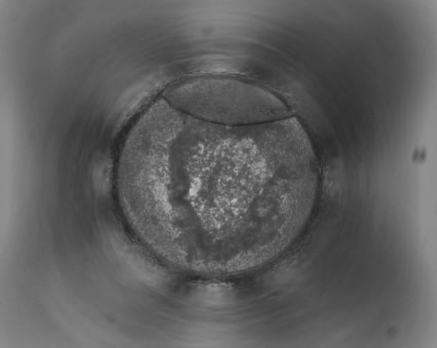 X0000114660304200911101349