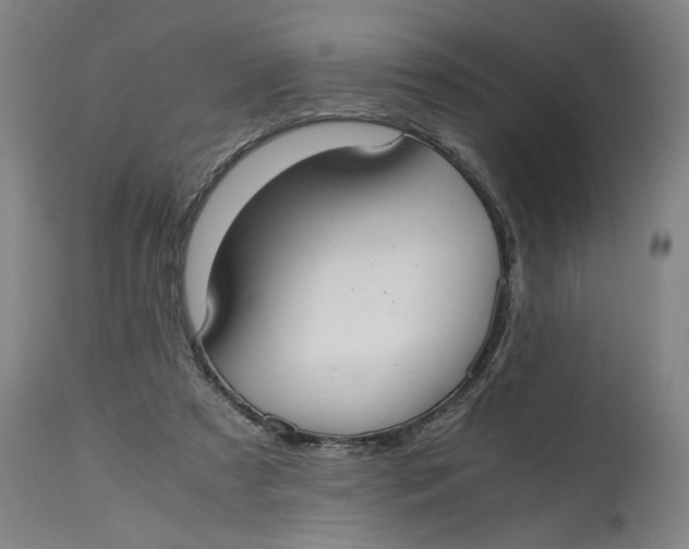 X0000114660305200911101349