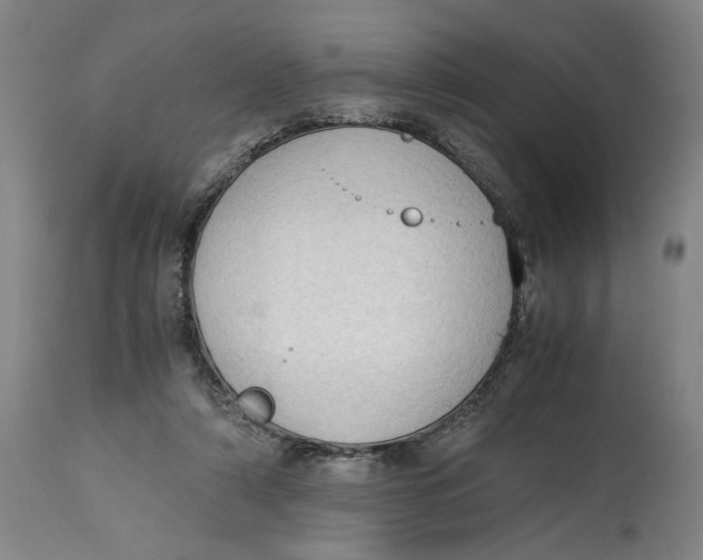 X0000114660306200911101349