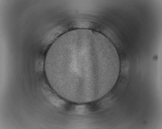 X0000114660309200911101349