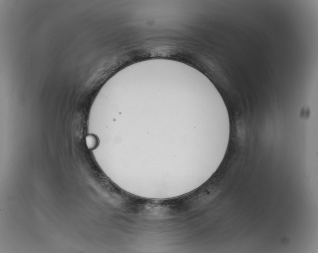 X0000114660311200911101349