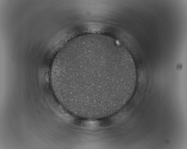 X0000114660313200911101349