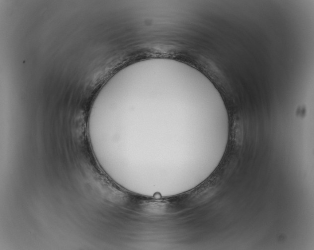 X0000114660318200911101349