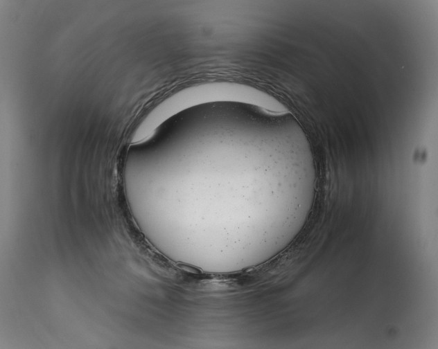 X0000114660320200911101349