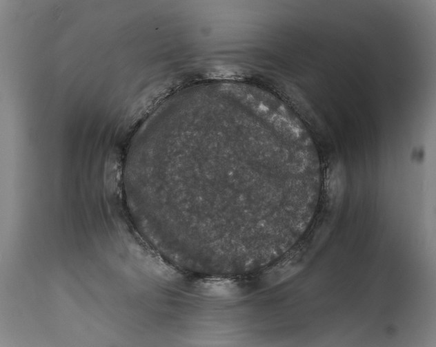 X0000114660322200911101349