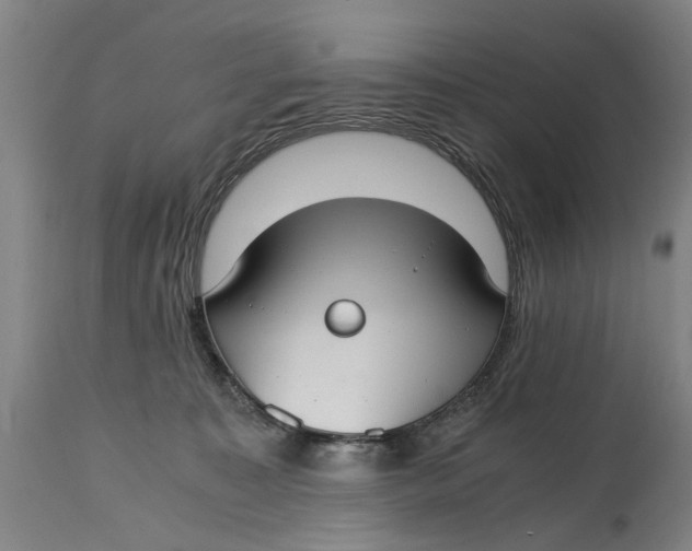 X0000114660323200911101349