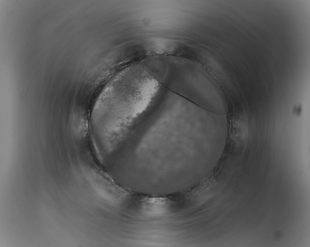 X0000114660324200911101349