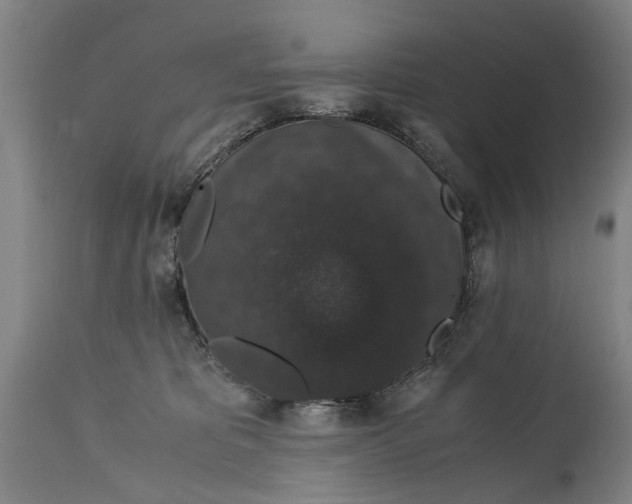 X0000114660325200911101349