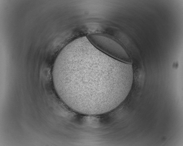 X0000114660327200911101349