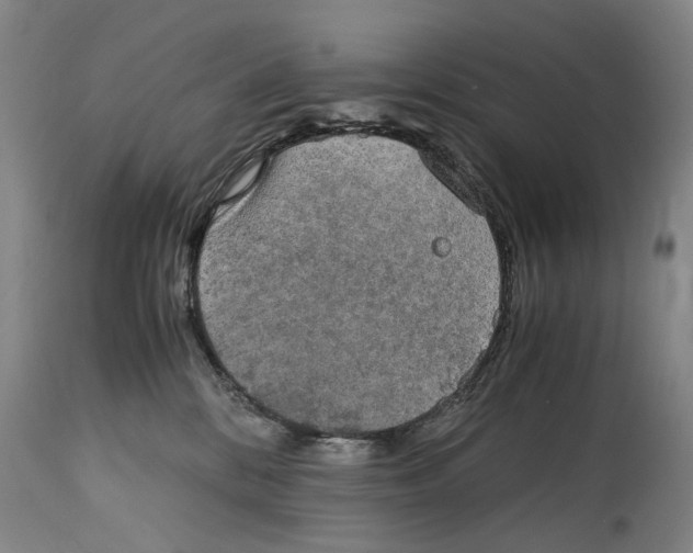 X0000114660328200911101349