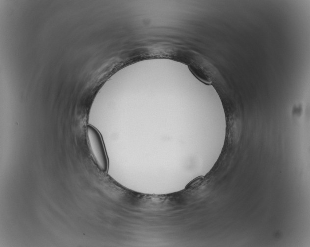 X0000114660329200911101349