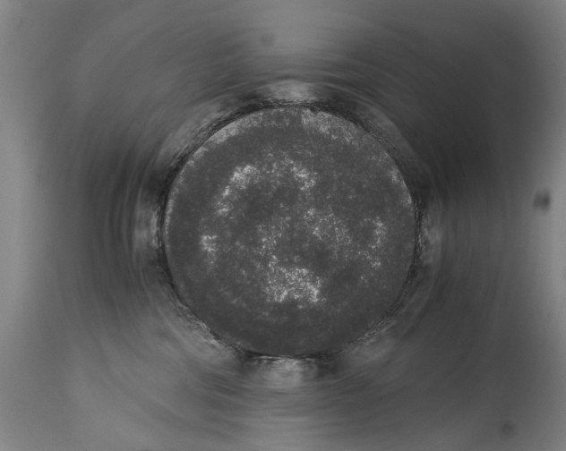 X0000114660330200911101349