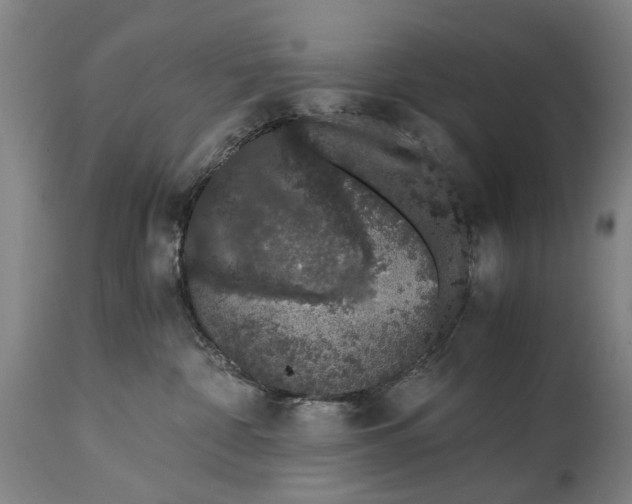 X0000114660332200911101349