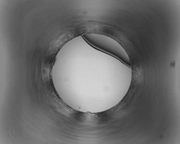 X0000114660333200911101349