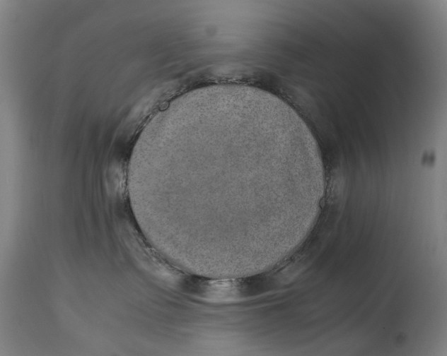 X0000114660335200911101349