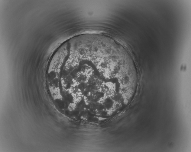 X0000114660337200911101348