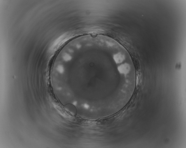 X0000114660339200911101348