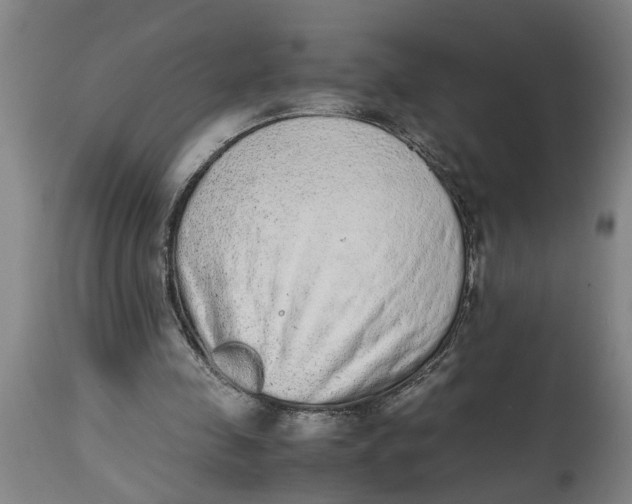 X0000114660341200911101348