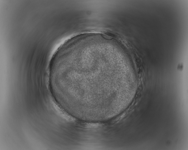 X0000114660342200911101348