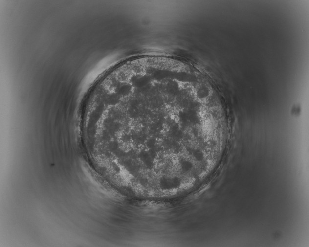 X0000114660343200911101348